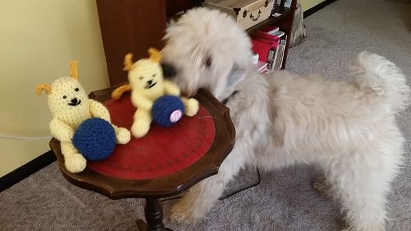 Sophie and Wapuu snatching